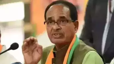 Will Use Successful Entrepreneurs In Interest Of MP: CM